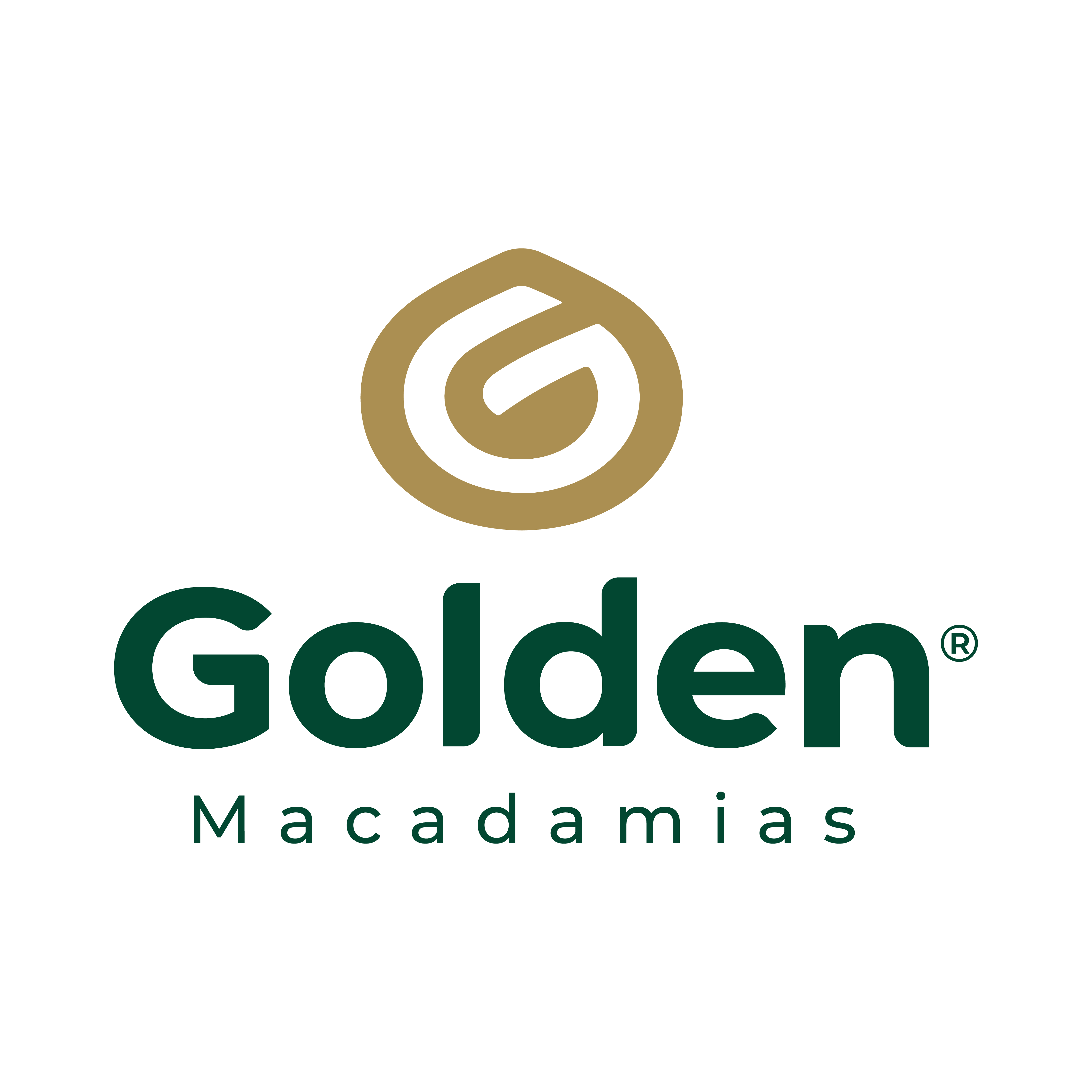 Golden Macadamias